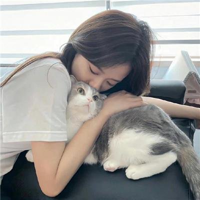 夺命情仇